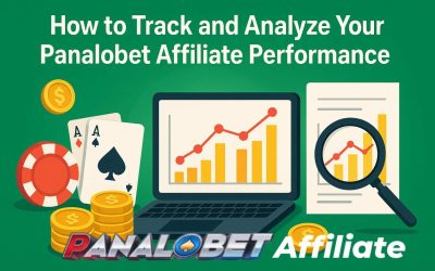 How to Track and Analyze Your Panalobet Affiliate Performance